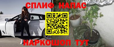 мдпв Рыбинск