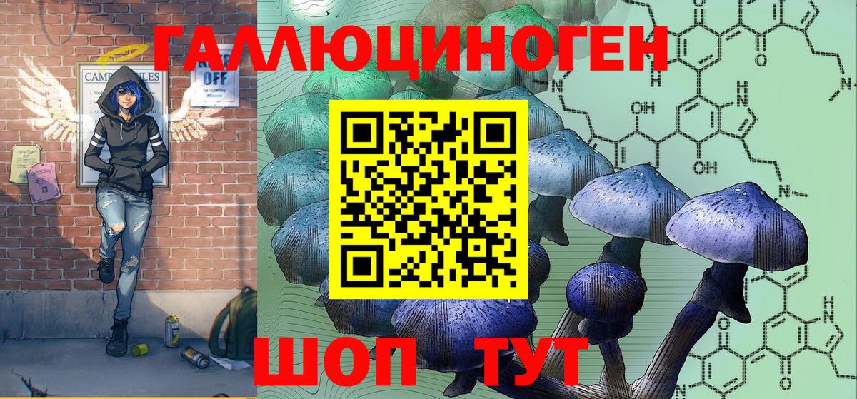 Псилоцибиновые грибы мицелий Сатка
