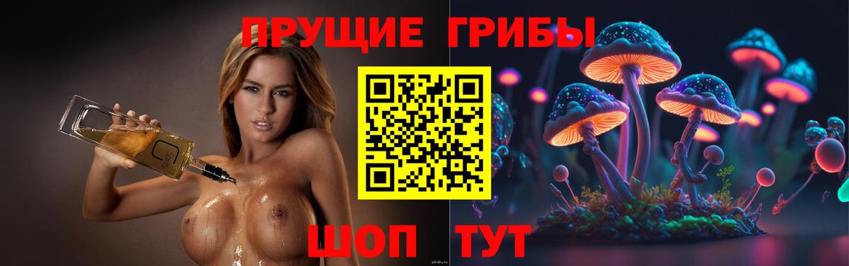 Псилоцибиновые грибы GOLDEN TEACHER  Вход с VPN  Галлюциногенные грибы ЛСД  Сатка 